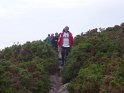 2013-10-01 17-32-27 Lande du Brulay FGn